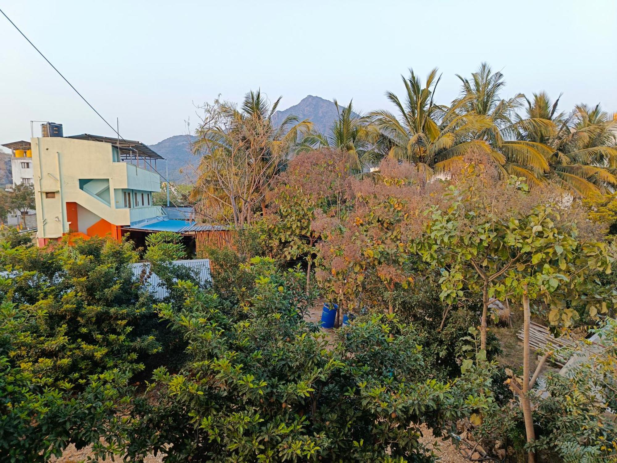 Abaranji Guest House Tiruvannāmalai Dış mekan fotoğraf